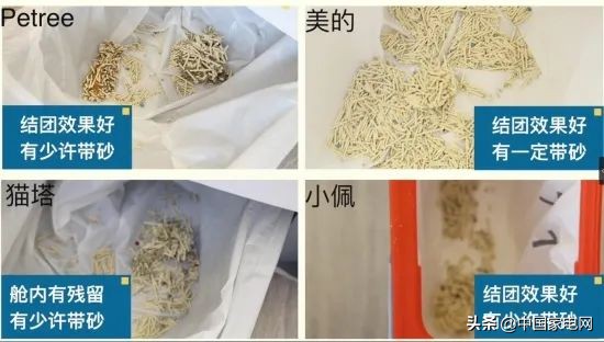 自动猫砂盆与普通猫砂盆的区别,各种品牌智能猫砂盆测评推荐