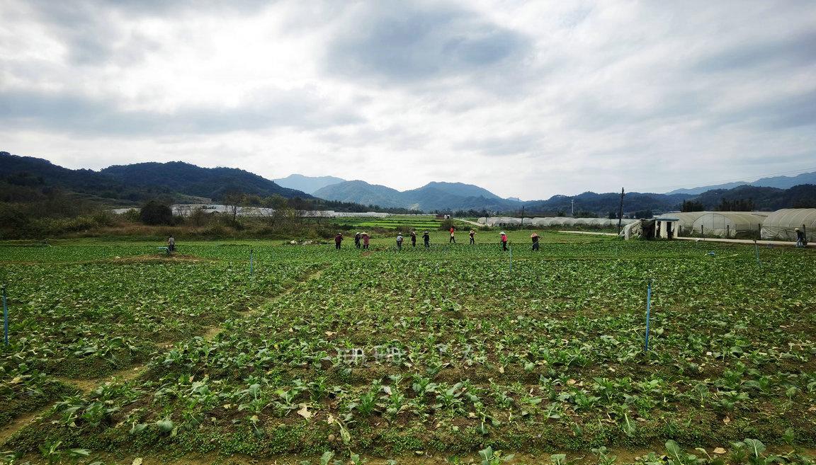 从化山清水秀,从化最值得看古村景点