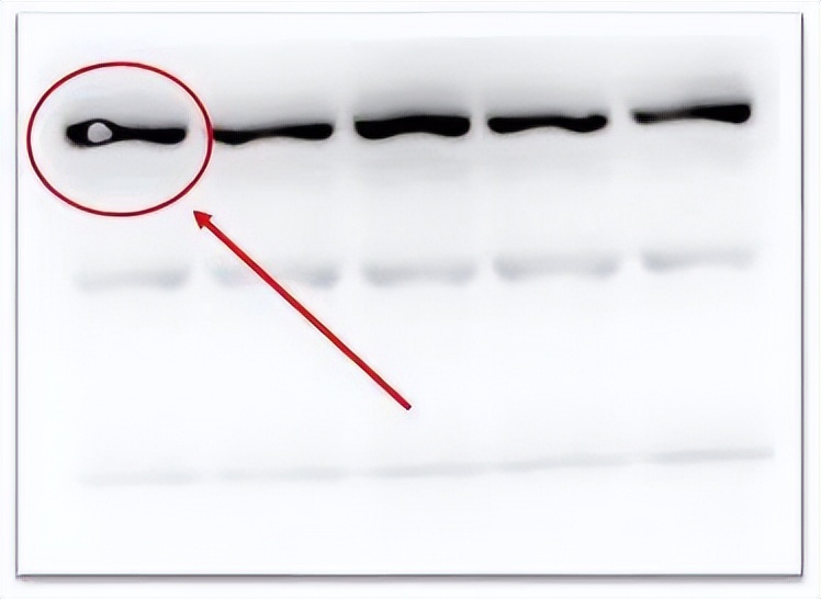 wb试验有条带为什么曝光,wb实验第二条带消失了