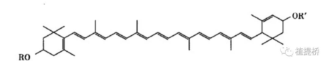 叶黄素护眼老少皆宜,选择叶黄素护眼