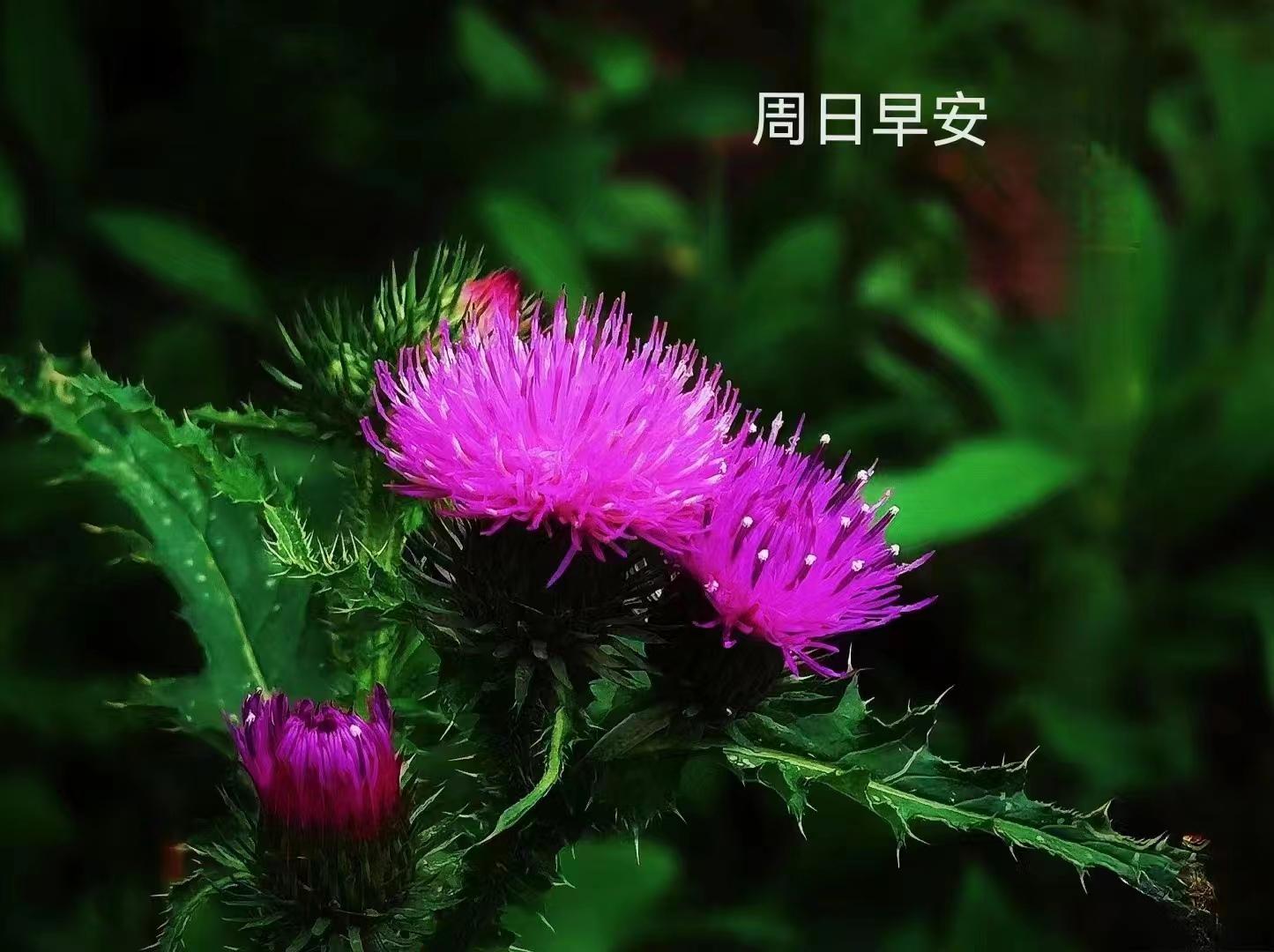 父亲节是哪一天2020父亲节图片,2022年父亲节日是哪一天