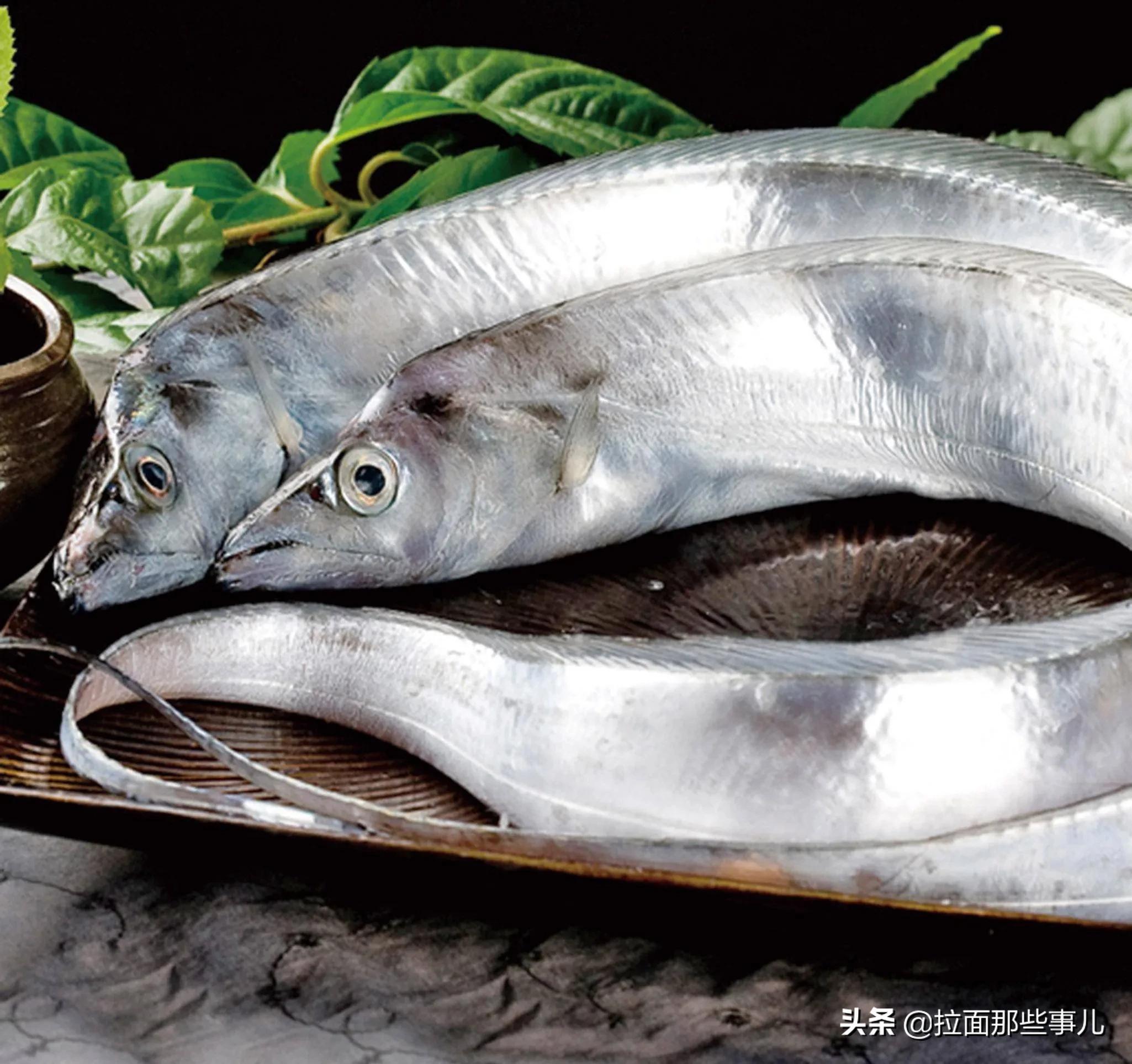 建议中老年人，少吃面食和猪肉，多吃这6种鱼，越吃越健康
