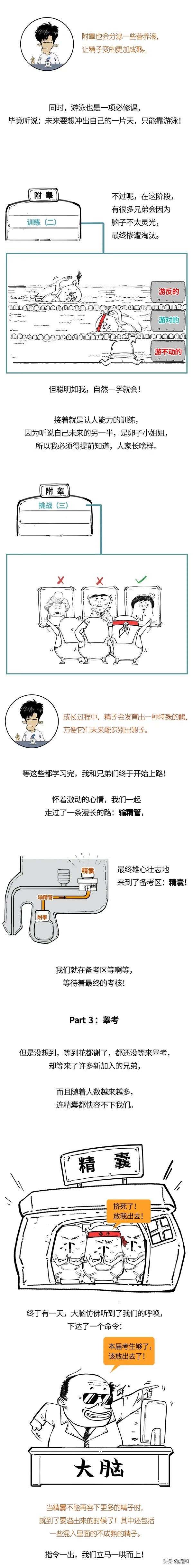 青春期男性遗精,青春期男性遗精规律