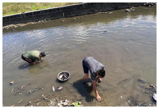 山东吃的特色美食清真,山东地方菜最有名的30道菜