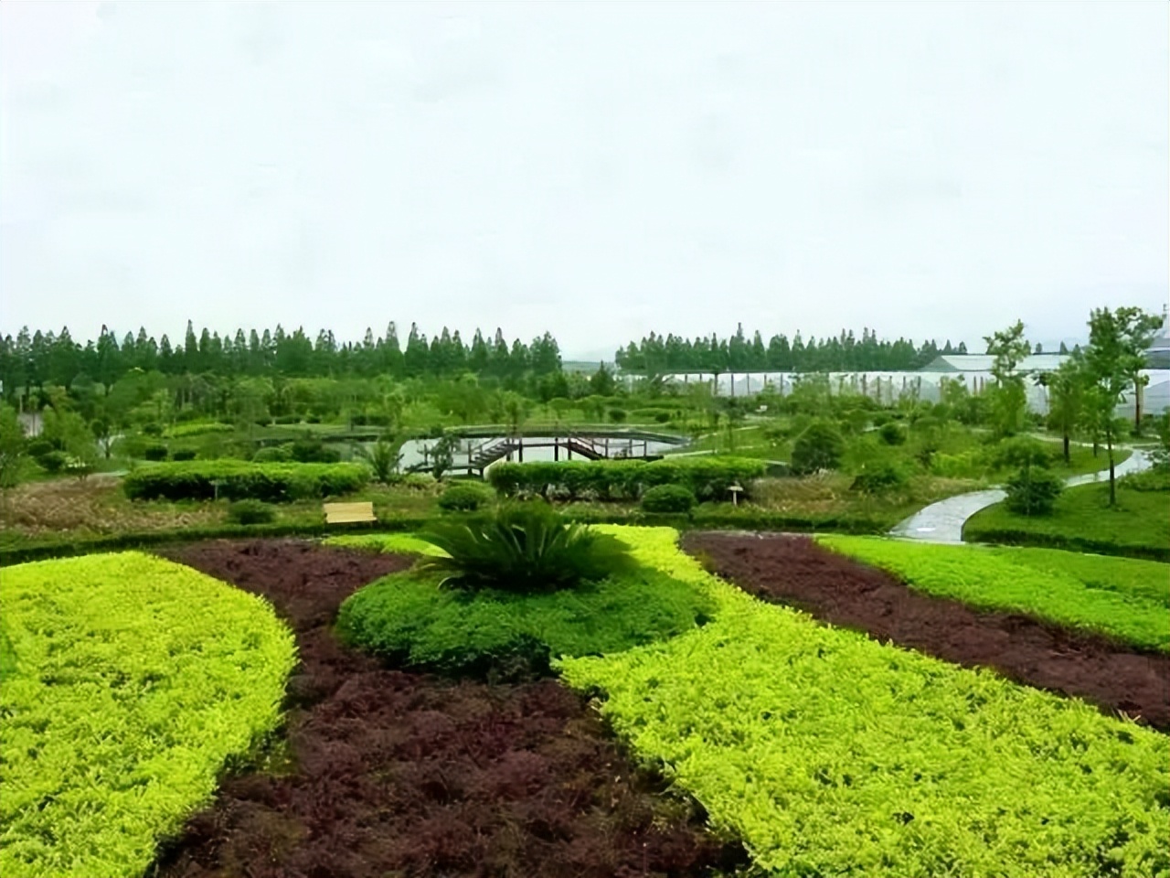 一个关于都市农业的思考：颠覆思维比颠覆技术更重要！