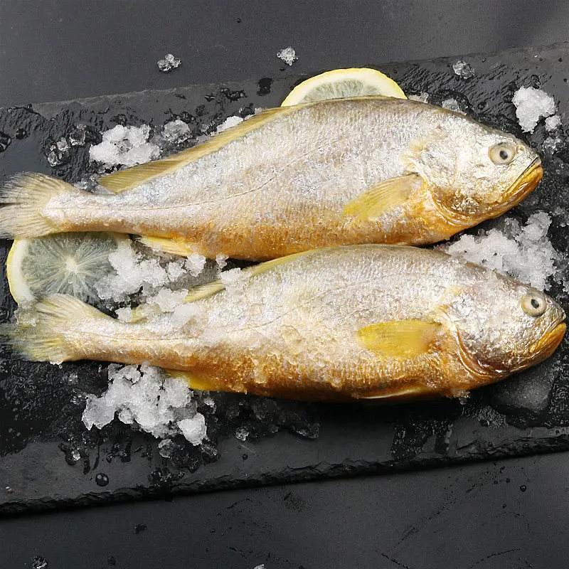 鱼类食材大全名称图片,鱼类菜谱大全100种