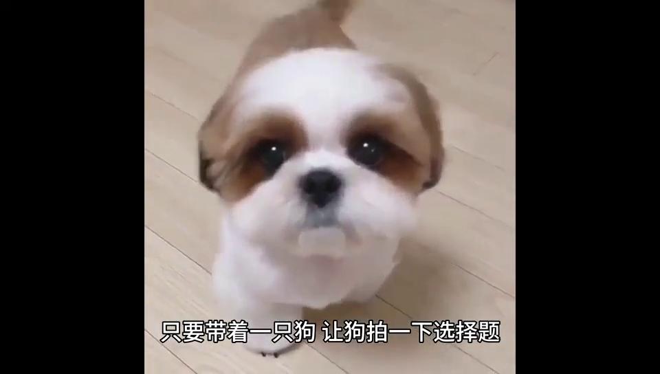 东北振兴历程,东北复兴的最新消息