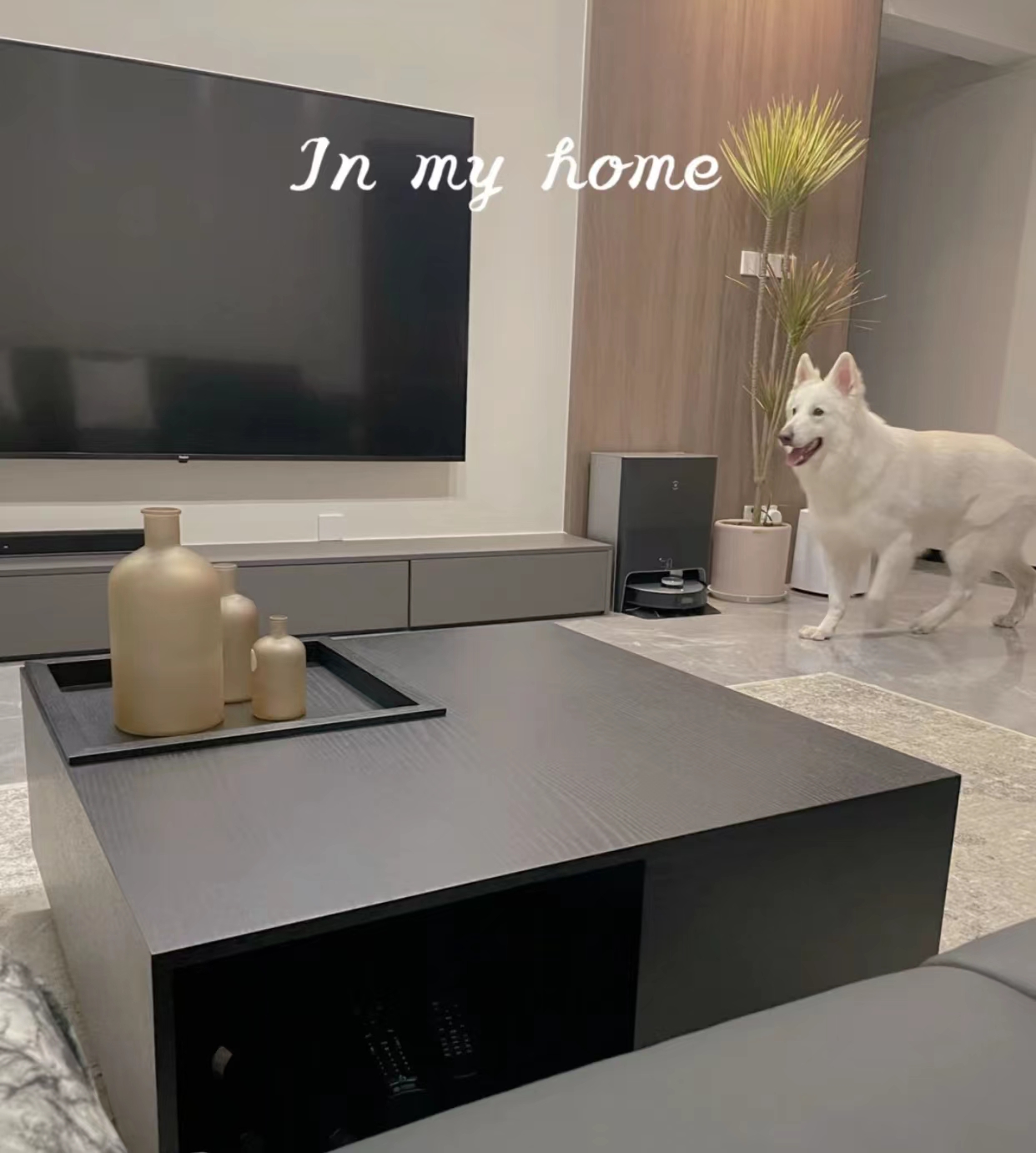 跌落神坛是怎么回事,为什么茶几被淘汰了