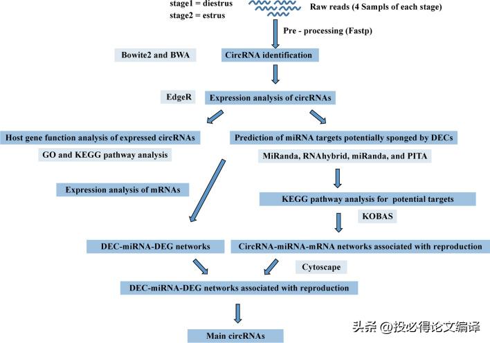 sci论文中国发表最多的人,sci收录中国科技论文数年均增长率