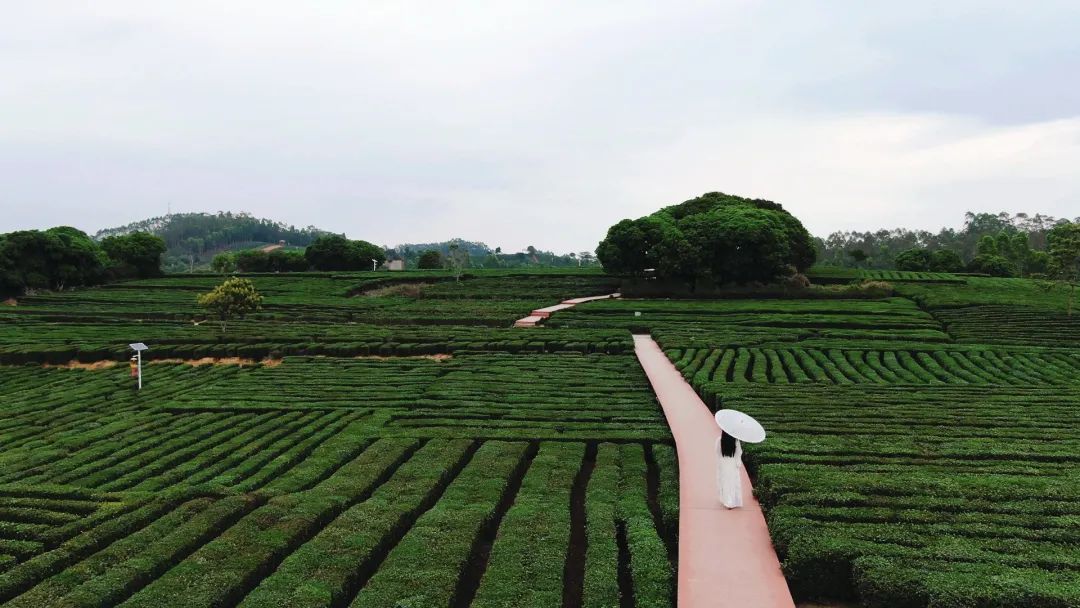 广东惠州旅游攻略3天自由行,惠州罗浮山2天一夜游