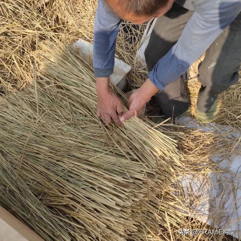 新一代简悦厨，永创设计打造“都市之中的天然稻场”