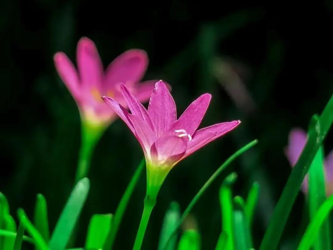 最省钱的抠门绝招,抠门省钱技巧越抠越有钱