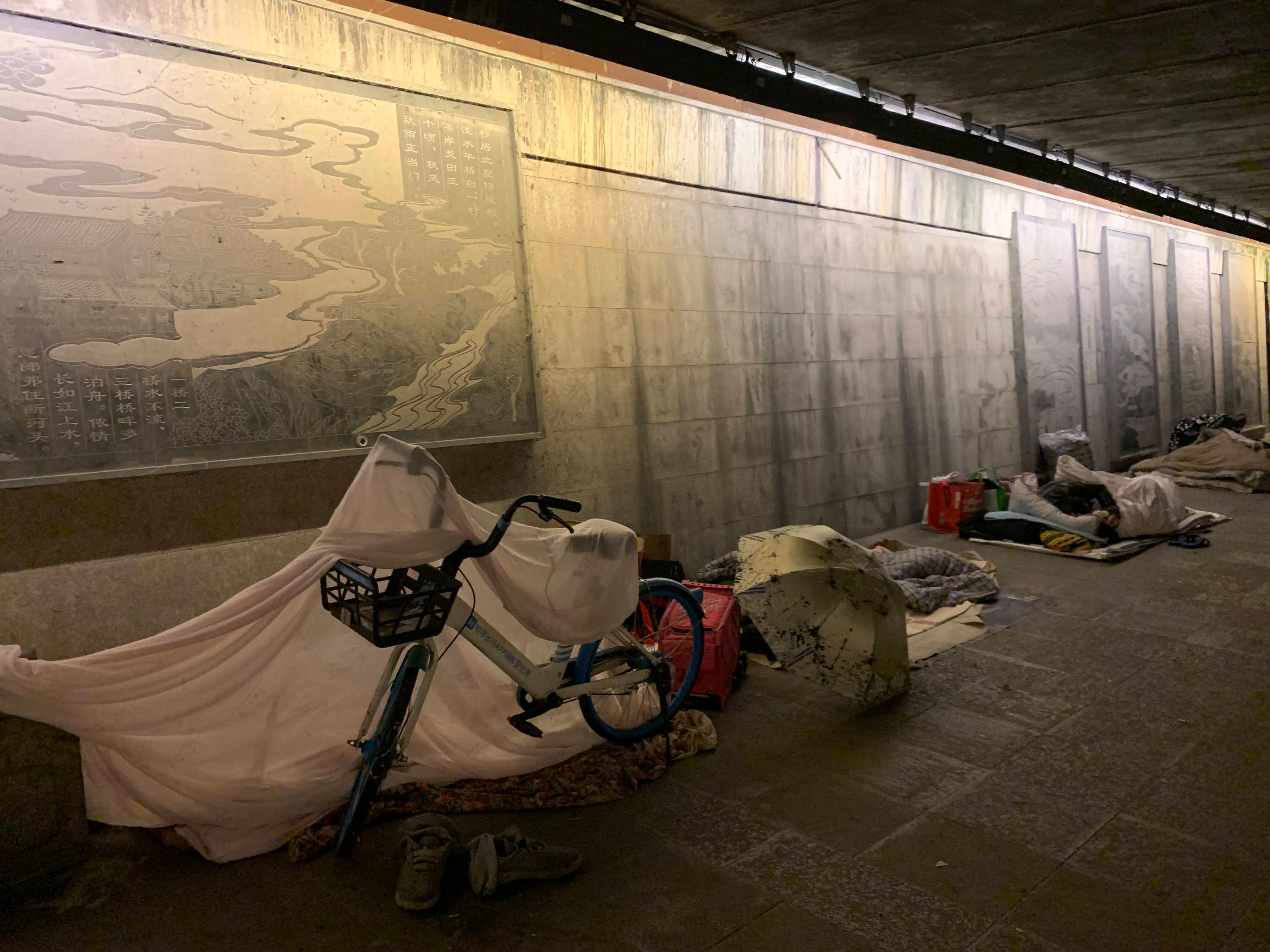 浙江杭州流浪汉救猫后续 (杭州流浪汉救小猫的视频)