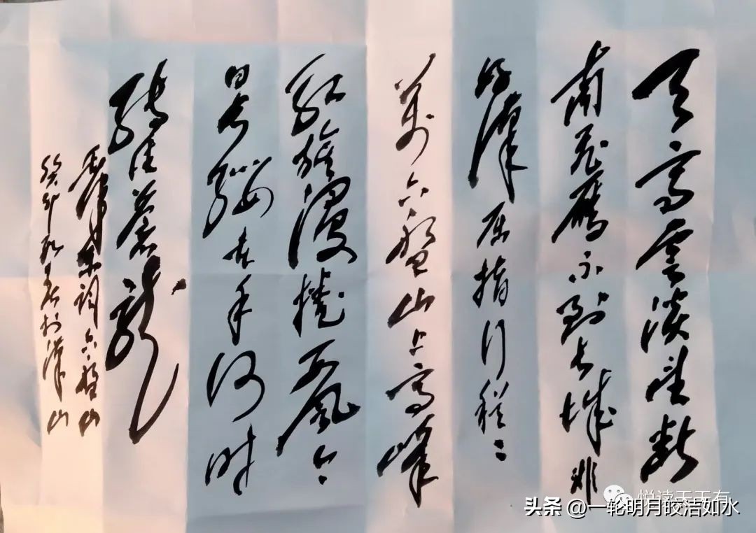 宋海洋采访,宋海洋专访完整视频