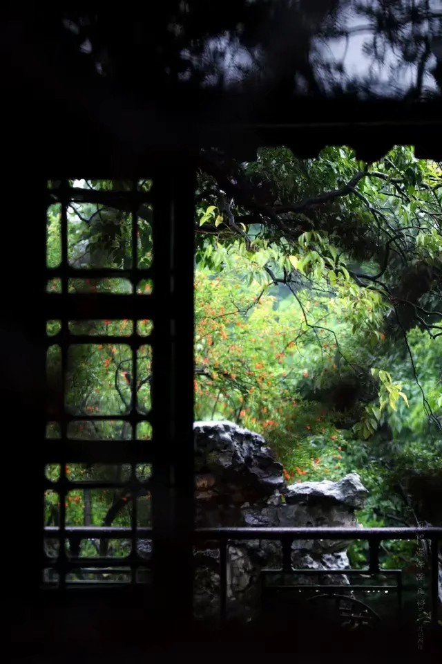 散文：繁花丛中坐，淡雅一闲人