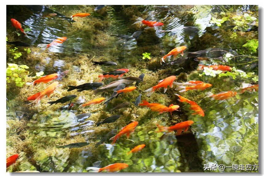 乌鲁木齐十大隐藏公园,乌鲁木齐最好的小绿谷公园