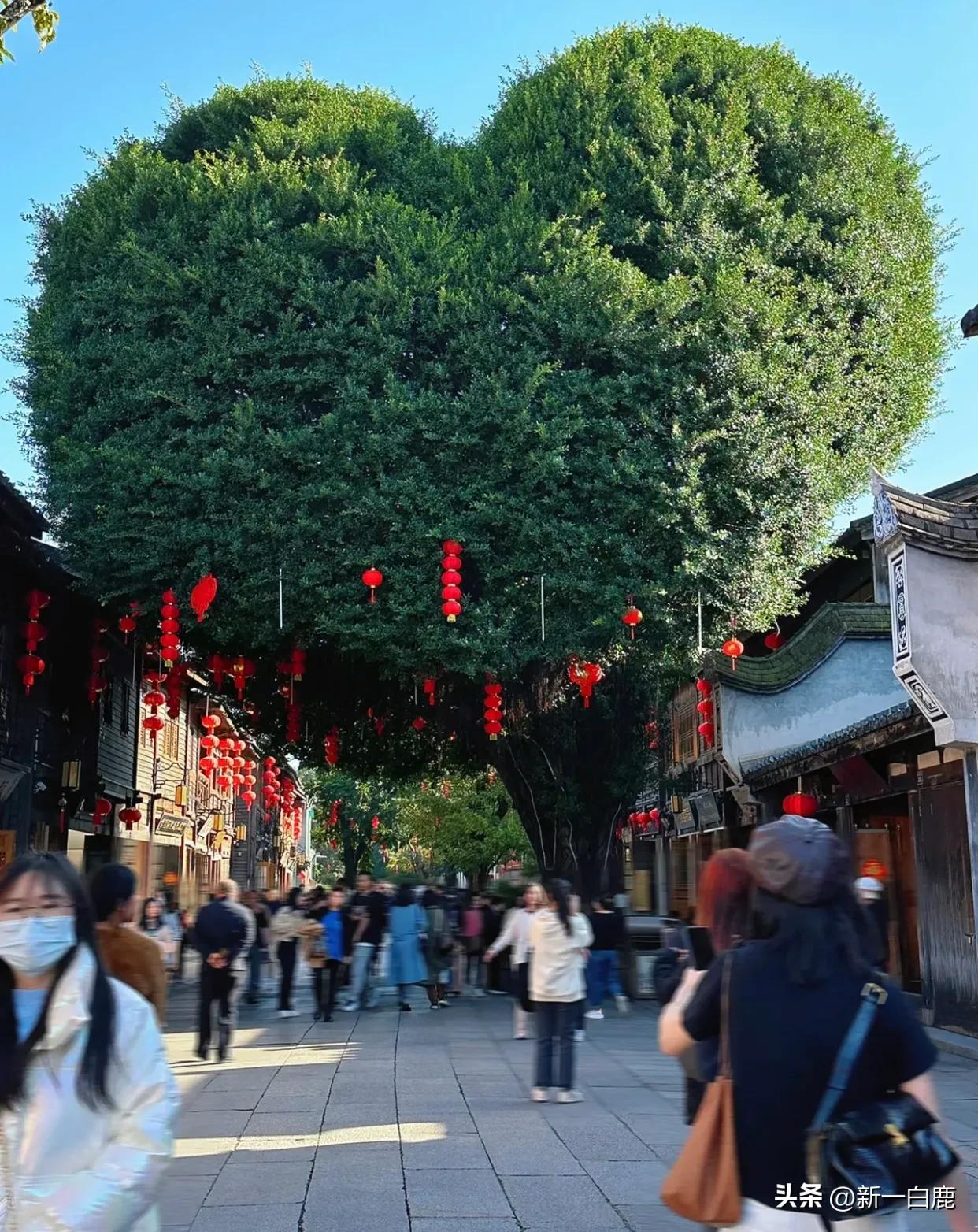 我国重点打造的三大世界级城市群,国家级都市圈有哪些城市