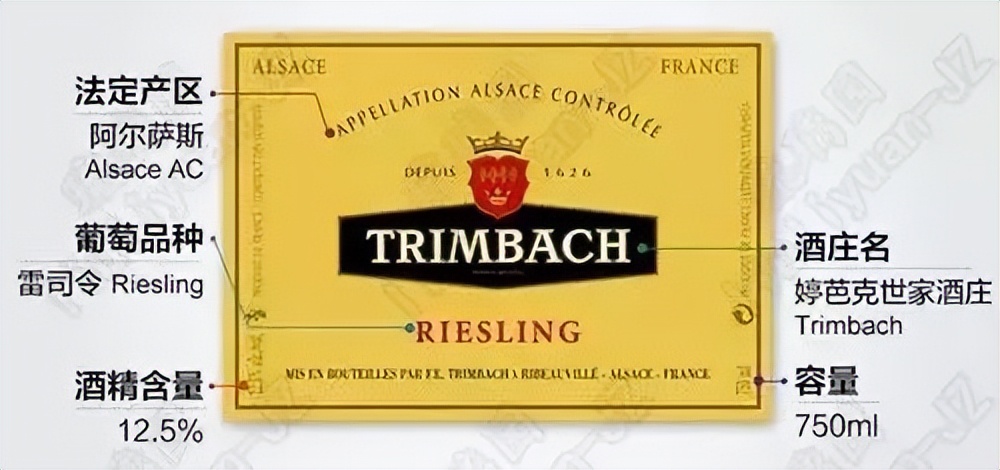 葡萄酒基础知识教程电子版,葡萄酒器具大全