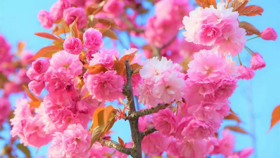 正确对待风气,风气关乎士气