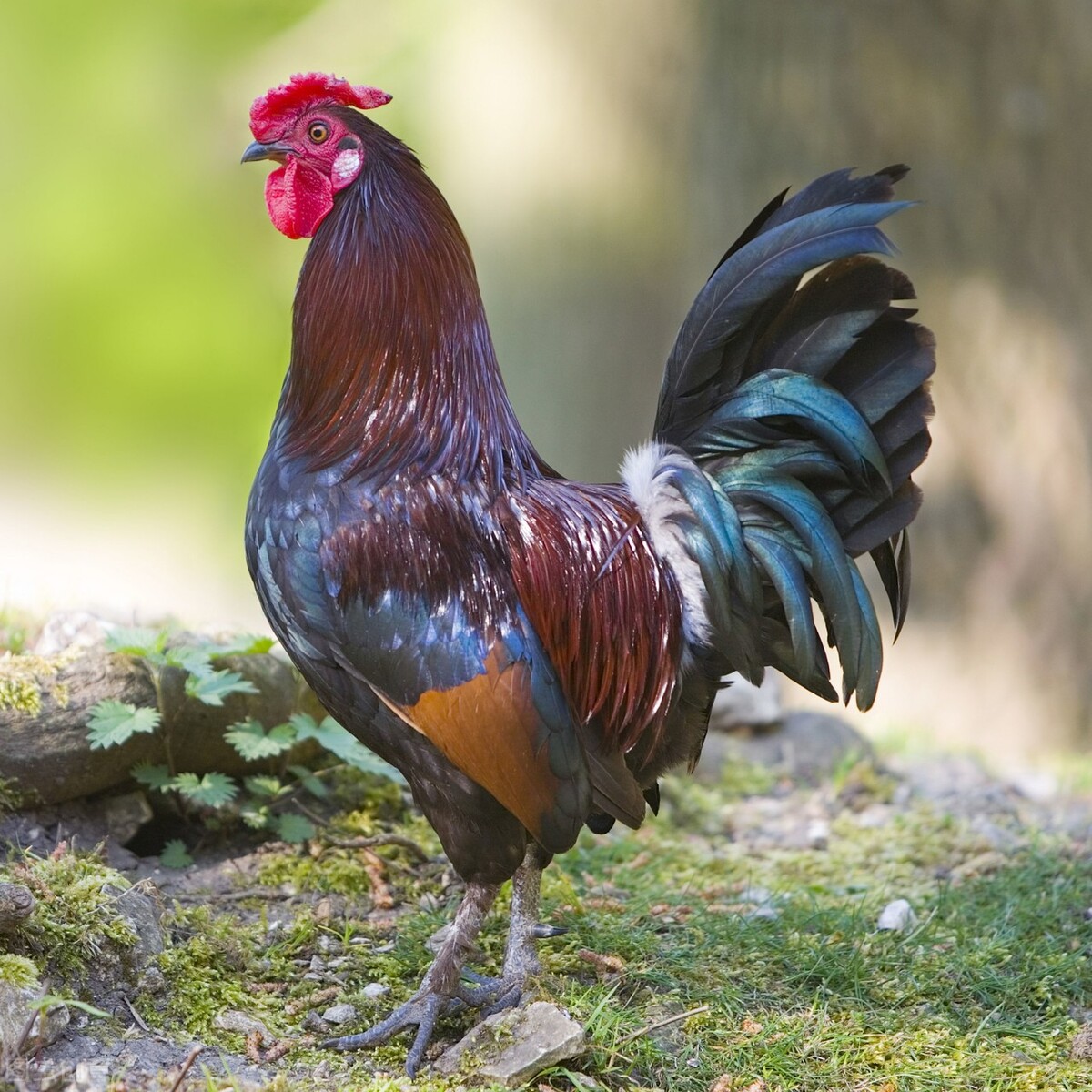 眼睛看不见有多可怕,眼睛看不清事物是怎么回事