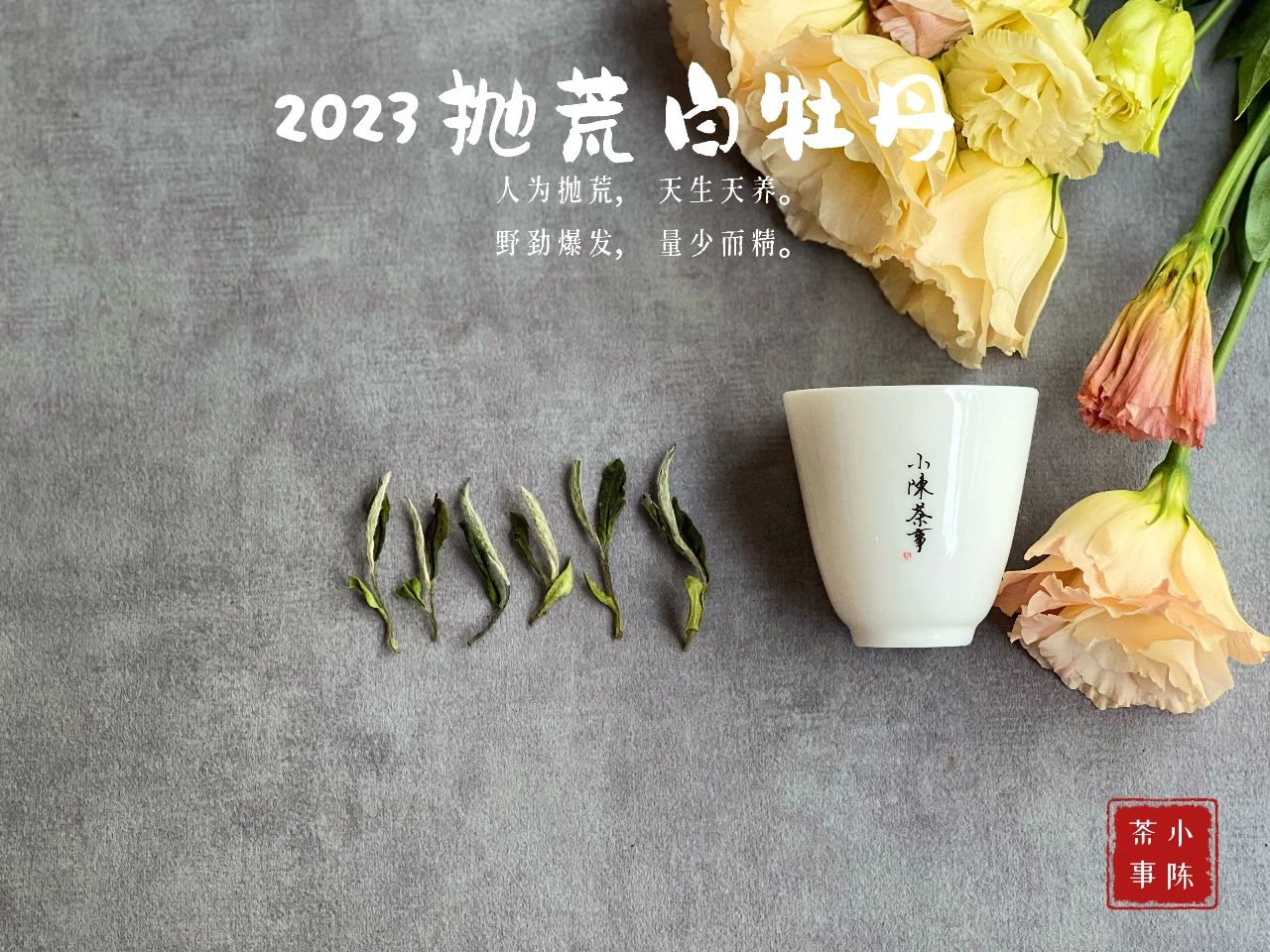 七里香夜来香,七里香丁香花