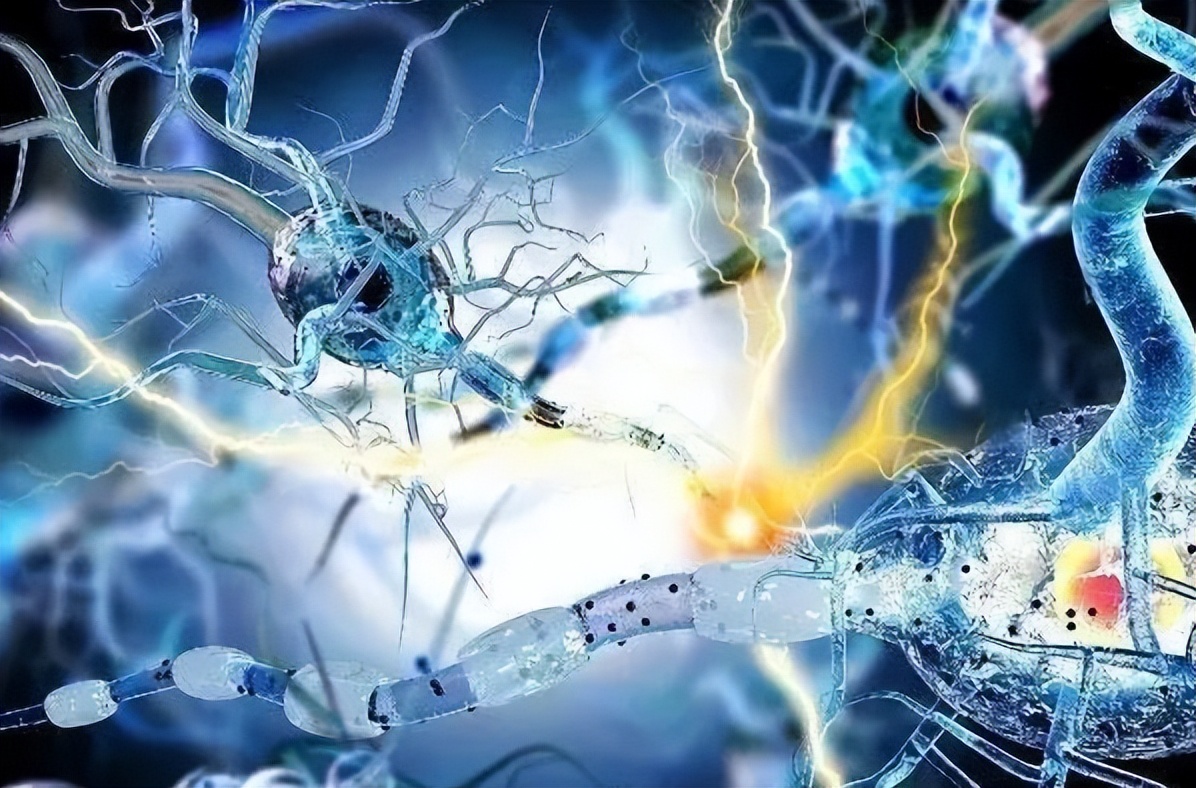 植物神经紊乱怎么治疗能好得快,植物神经紊乱怎么治疗才有效果