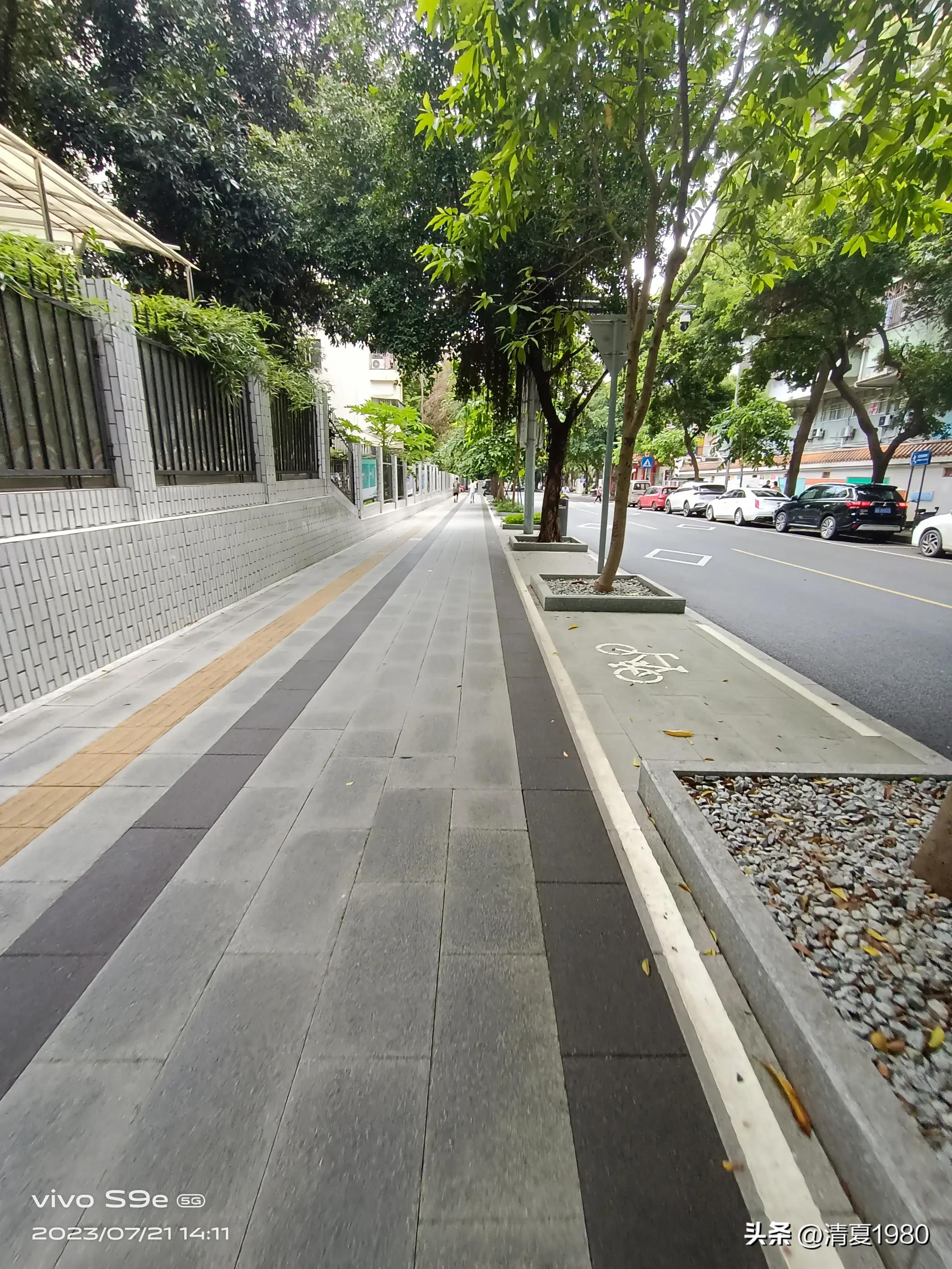 深圳东湖公园门票多少钱一张,深圳东湖公园景点图片高清