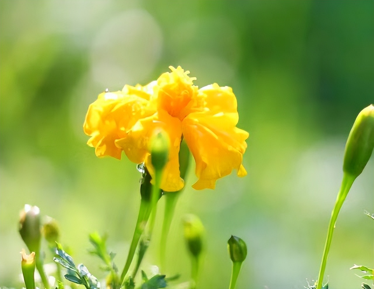 女人不自爱的底层逻辑,女人不自尊自爱的原因