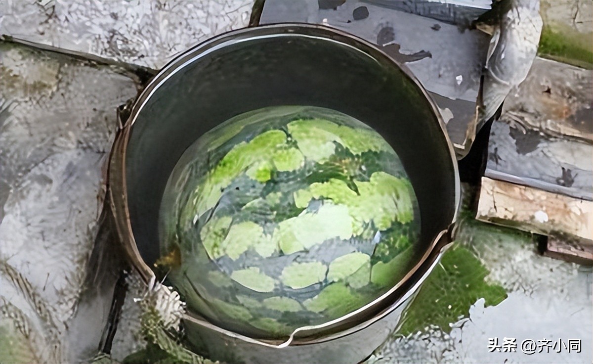 从家庭变化看中国历史,从衣食住行看家乡巨变