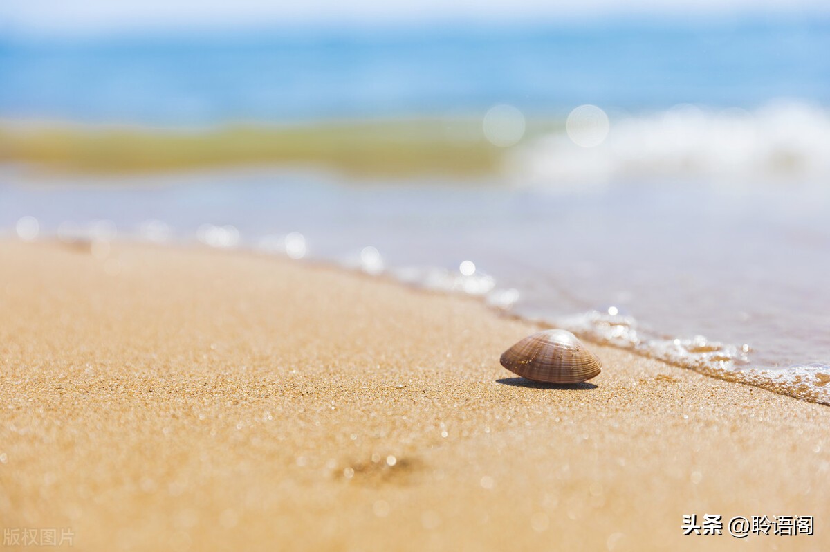 小故事大道理及感悟,受益匪浅小故事大道理