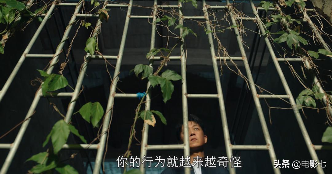 消失的第十一层陈数潘粤明,陈数潘粤明消失的十一层结局