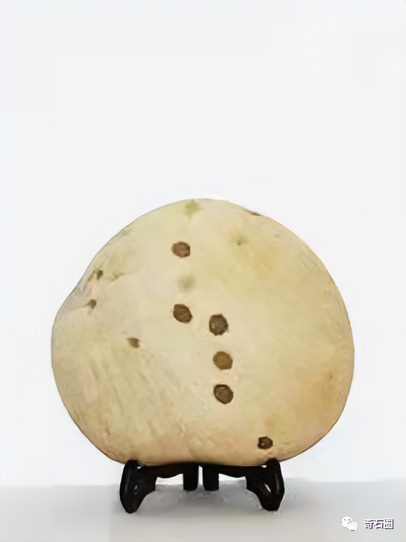 “带窝窝的石头”入围作品展播