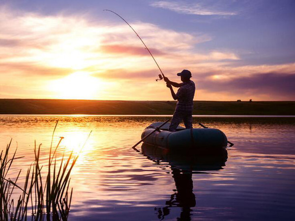 野钓钓鱼短视频初级,短视频钓鱼真相