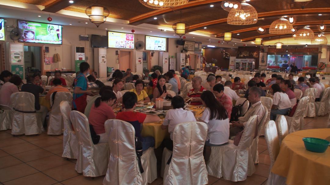 爱牙护牙健康知识优质课,爱牙护牙去哪里学习