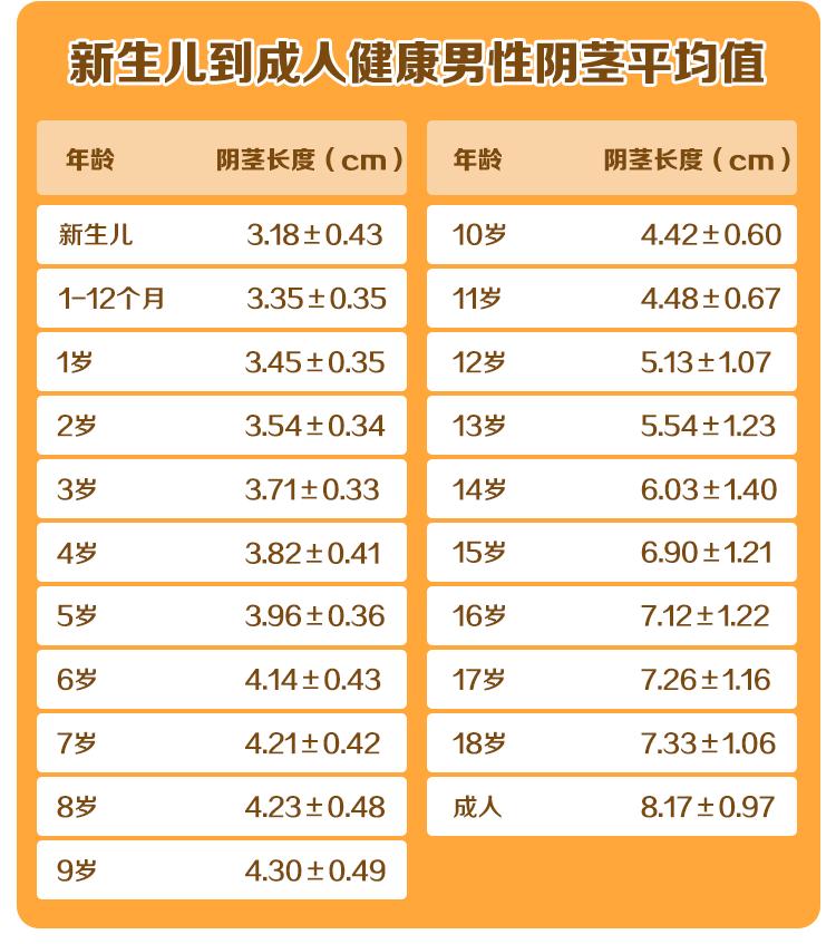 男孩JJ多大才算达标？“丁丁”尺寸国际标准来了！男宝家长请注意