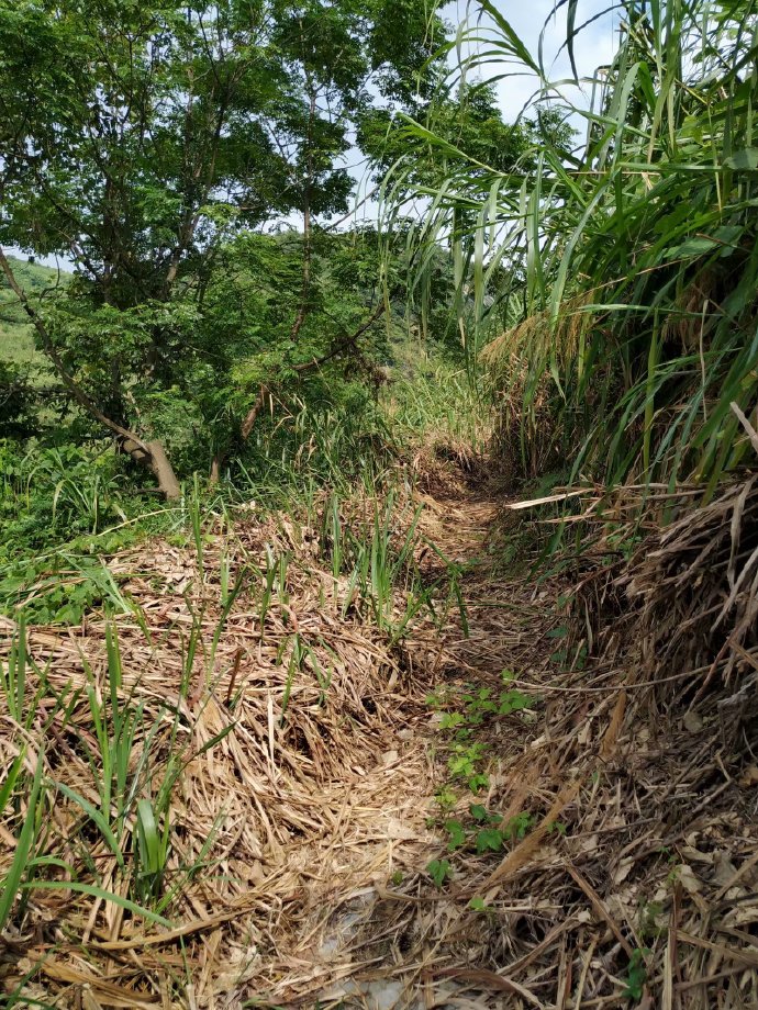 郴乐古道之水头江宜乐古道--广东省乐昌市庆云镇