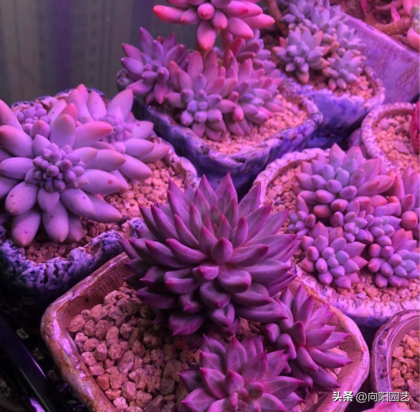 100元左右补光灯怎么选,便宜的补光灯有没有用