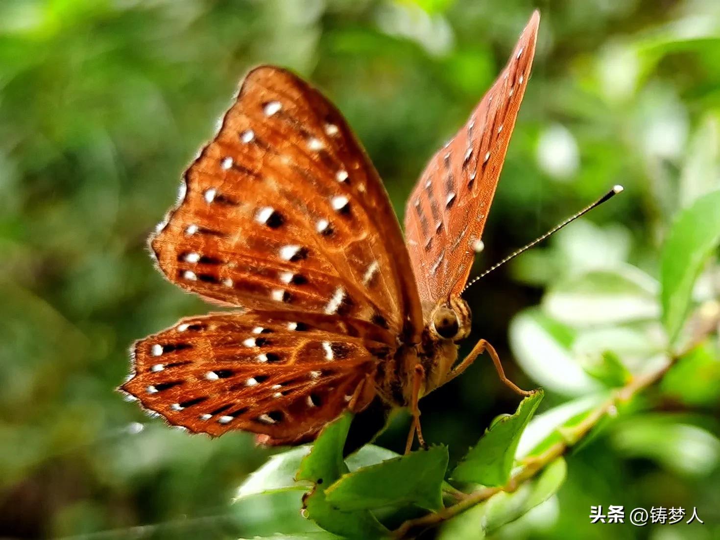 分享手机里的美照,手机拍照技术干货分享