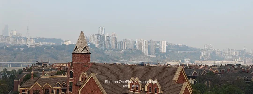 一加11拍照到底怎么样最新评测,一加11拍照远摄表现