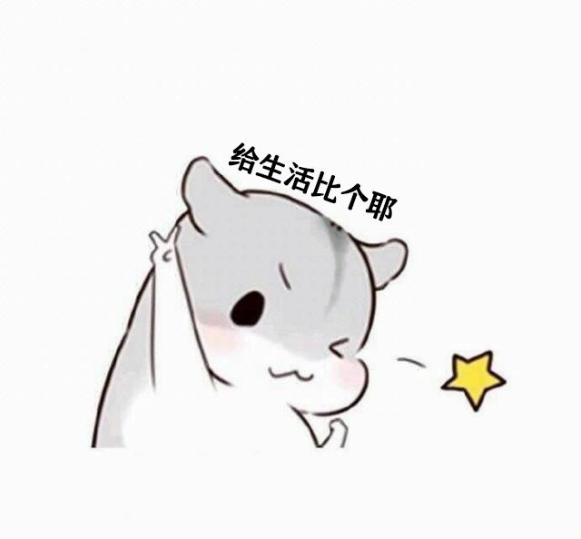 新媒体运营核心,新媒体运营技能等级证书