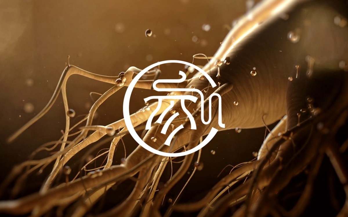 濉旀湜鍝佺墝,濉旀湜鍝佺墝绛栧垝