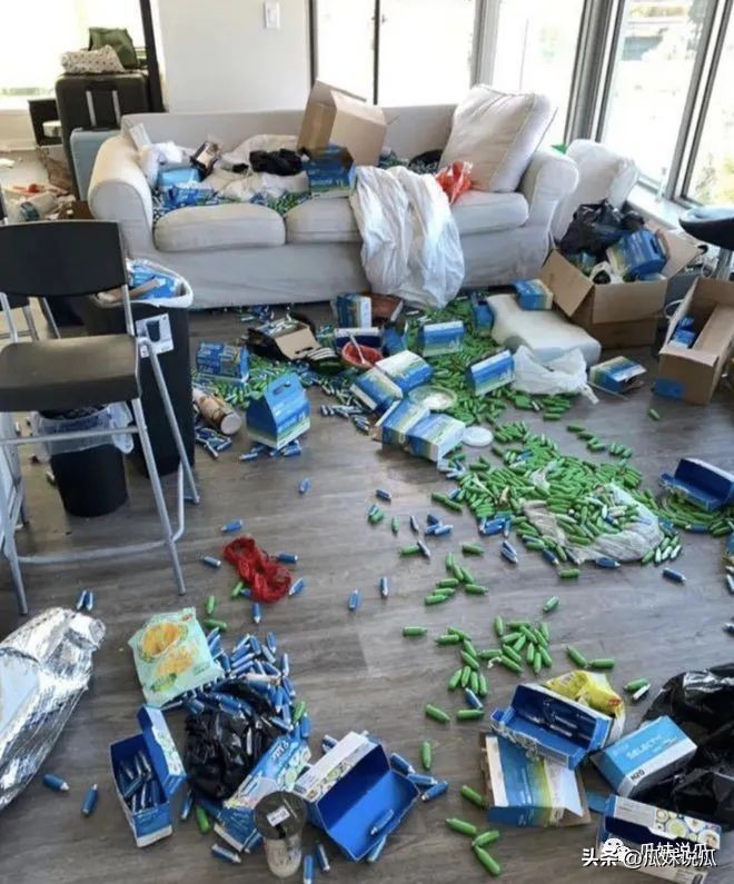 北美留学ucsd事件,ucsd女留学生亲生儿子事件