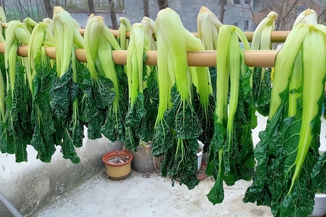 我亲身经历的社会事件作文,社会经历和感悟