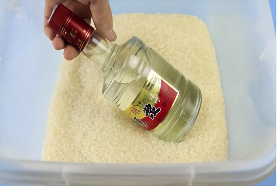 生虫子的米面还能吃吗,米面生虫怎么办还能吃吗