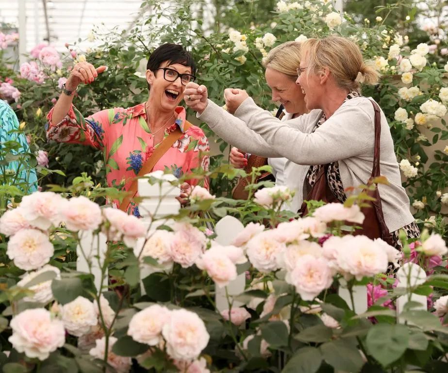 切尔西花展主题,英国切尔西花展