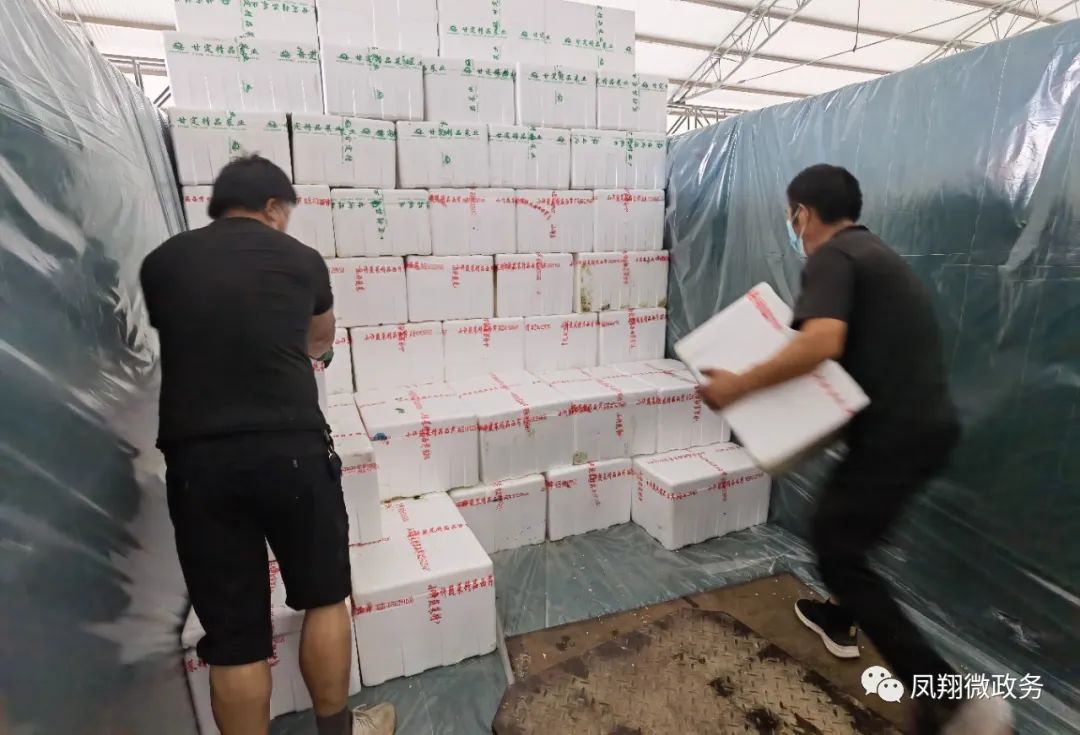 高原夏菜一亩利润,高原夏菜挣钱吗