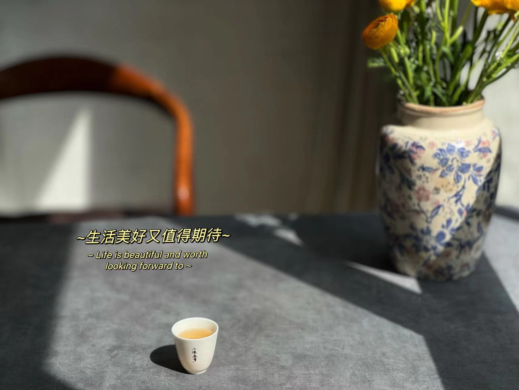 新手学泡茶的基本常识是什么,泡茶选择什么样的茶具