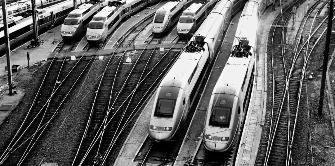 高磊绽放青春,高磊临朐