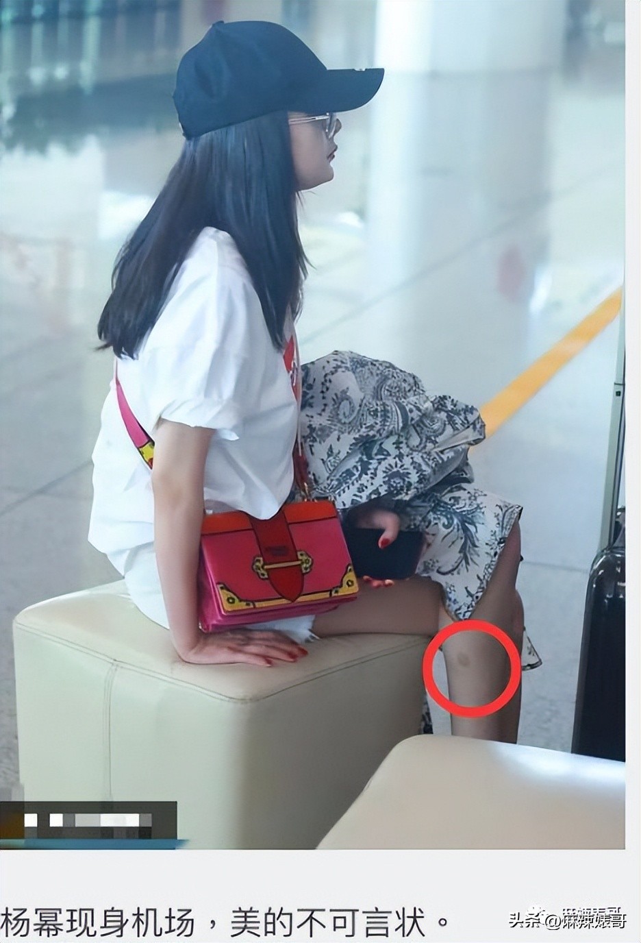 热带鱼cp是哪个,热带鱼cp是真的吗