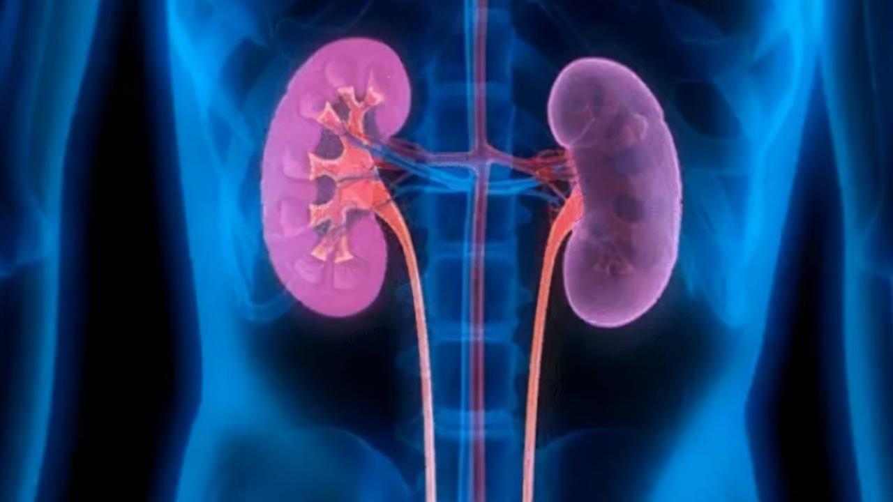 糖尿病人科学喝水,糖尿病人饭前喝水还是饭后喝水